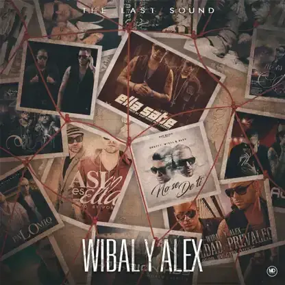 Cover image for The Last Sound