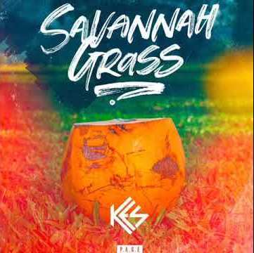 Savannah Grass by Kes
