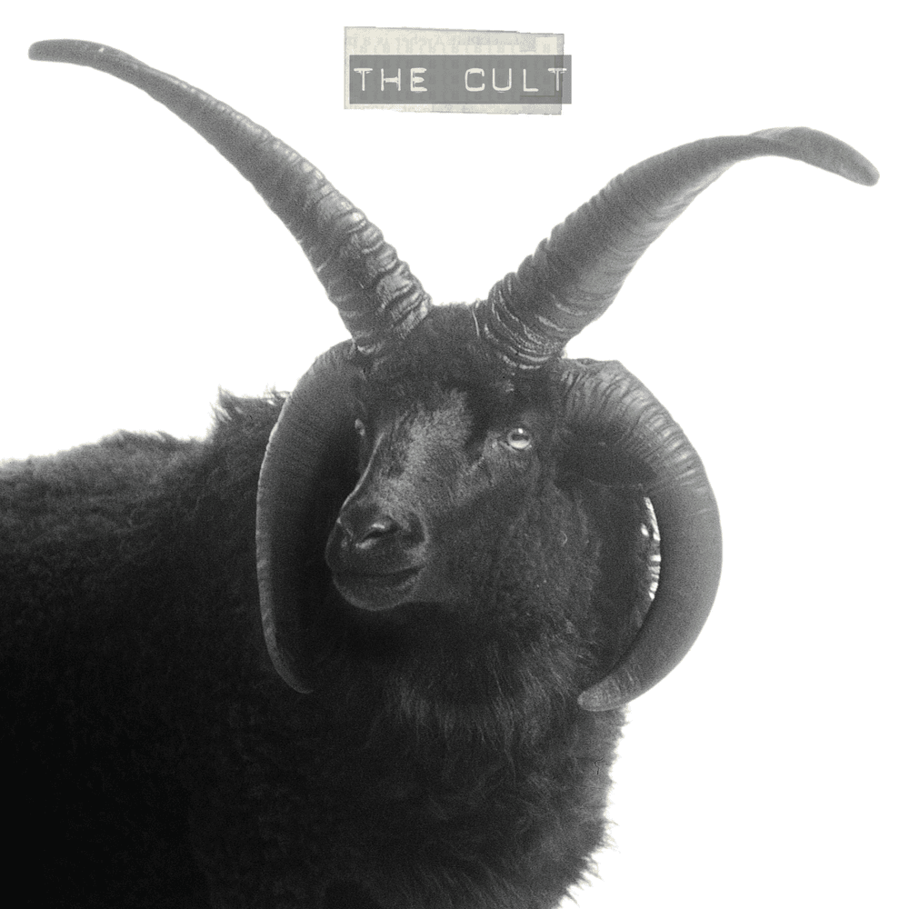 Album cover art for "Star" by The Cult