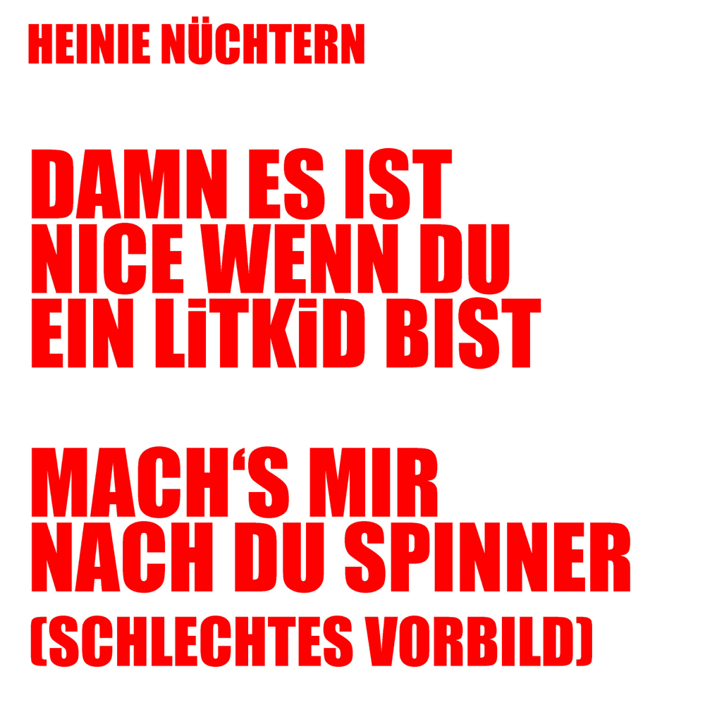 Cover image for Damn es ist nice wenn du ein LiTKiD bist (Single)