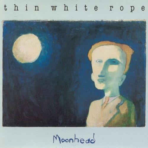 Not Your Fault by Thin White Rope
