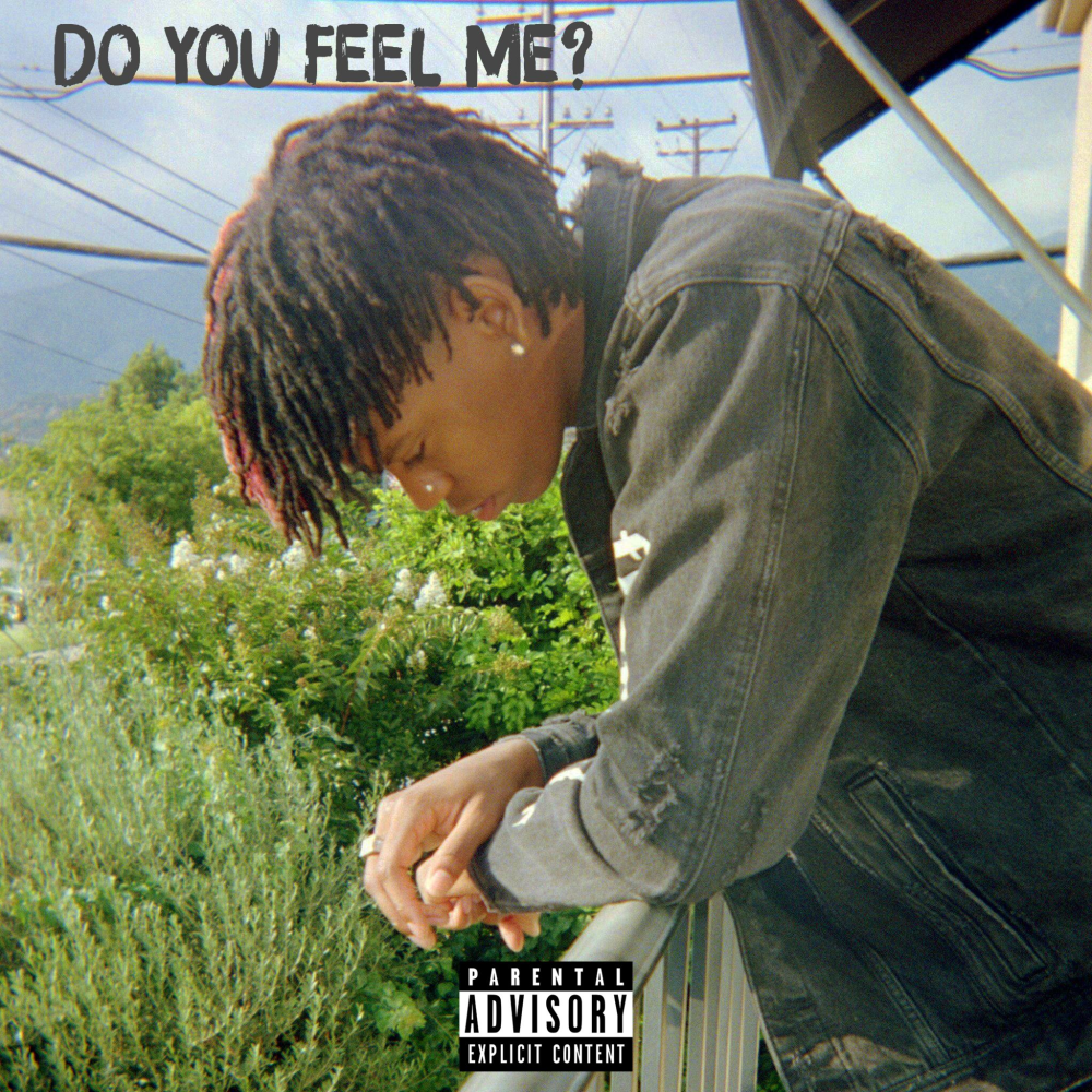 Album cover art for "Do You Feel Me" by DC The Don