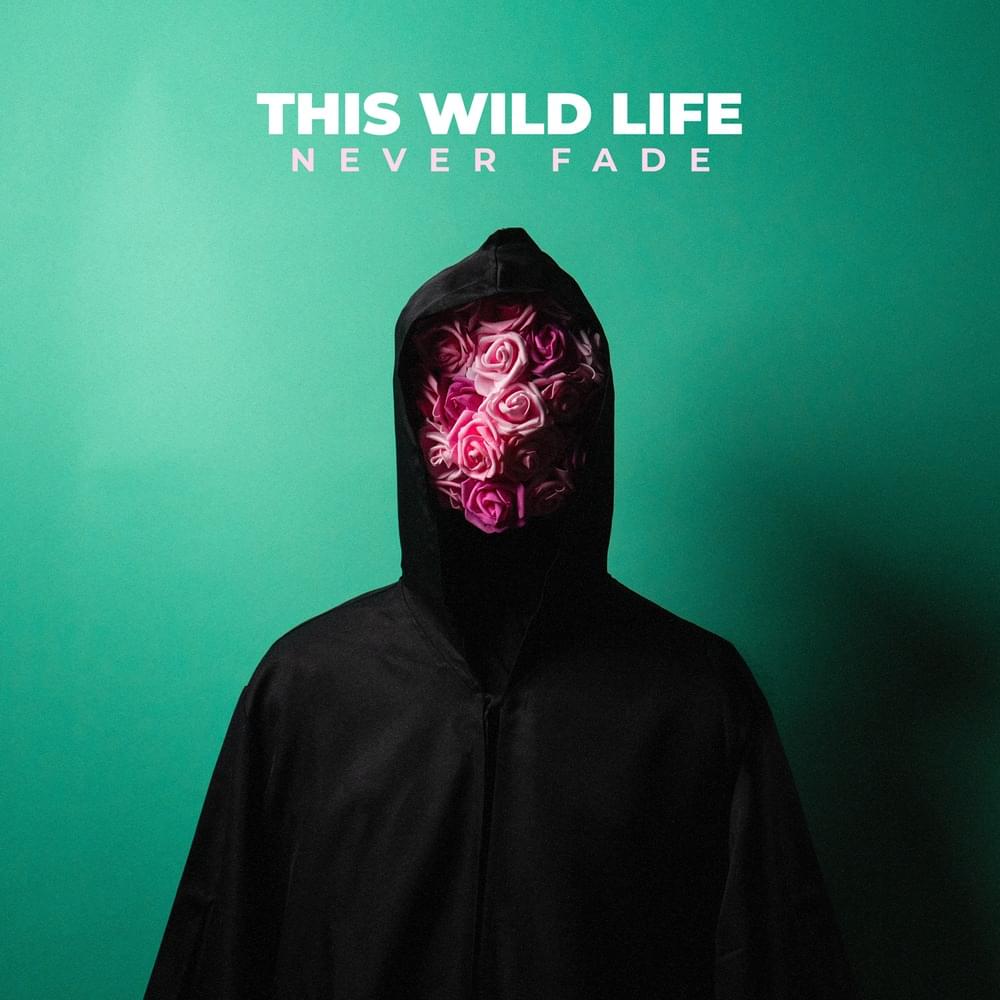 Album cover art for "How’d You Forget Us" by This Wild Life & Joshua Roberts
