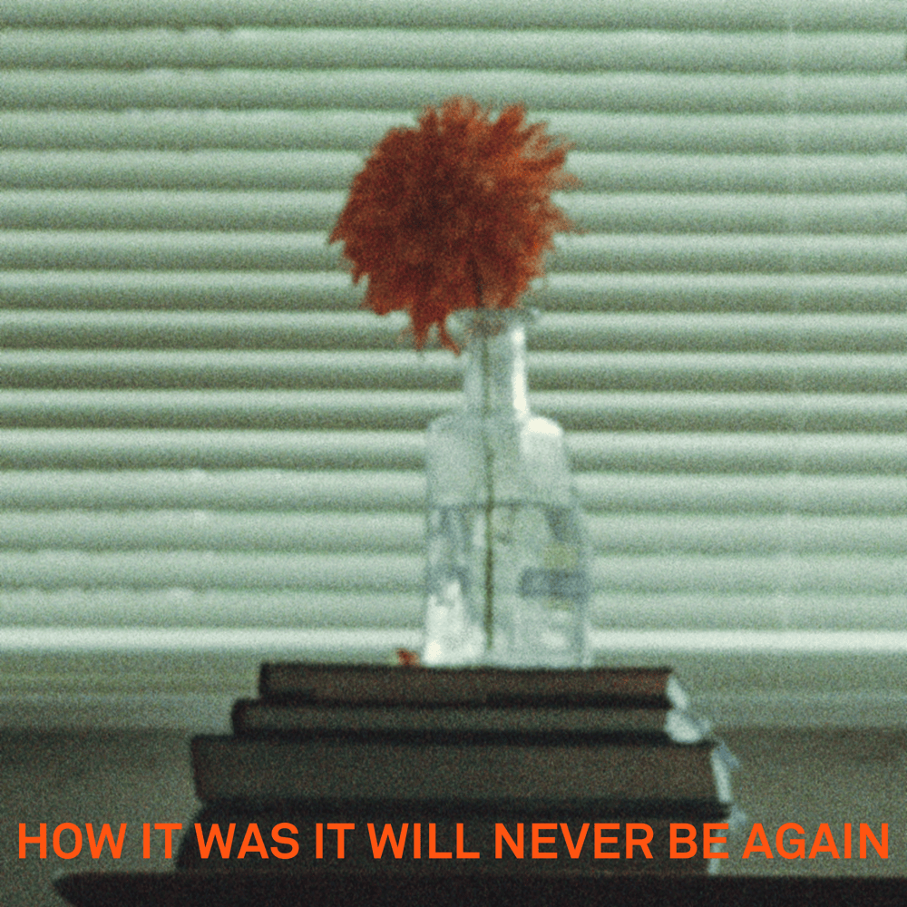 Album cover art for "How It Was It Will Never Be Again" by SYML