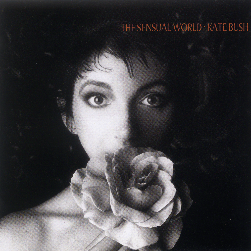 Cover image for The Sensual World
