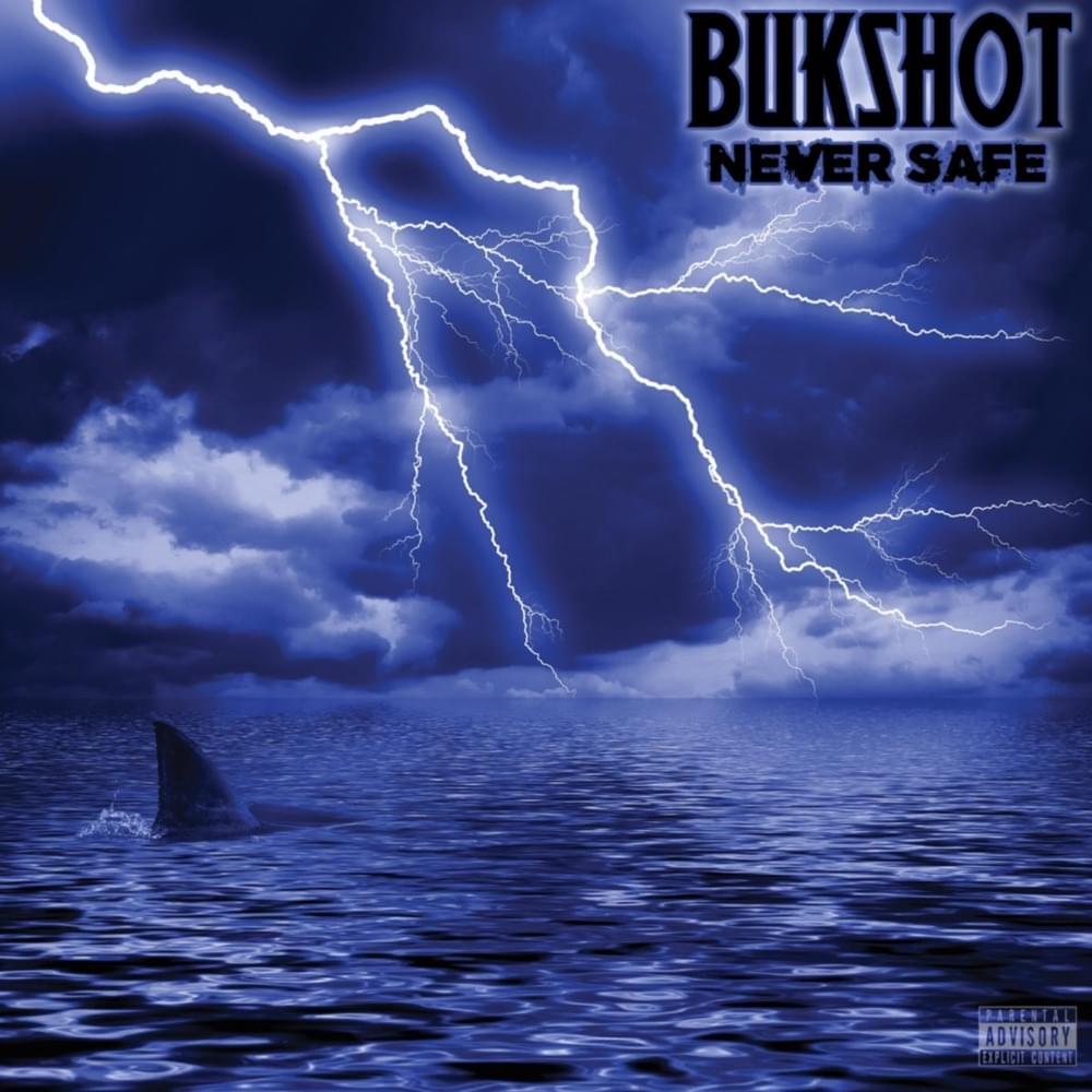 Album cover art for "Under The Surface" by Bukshot