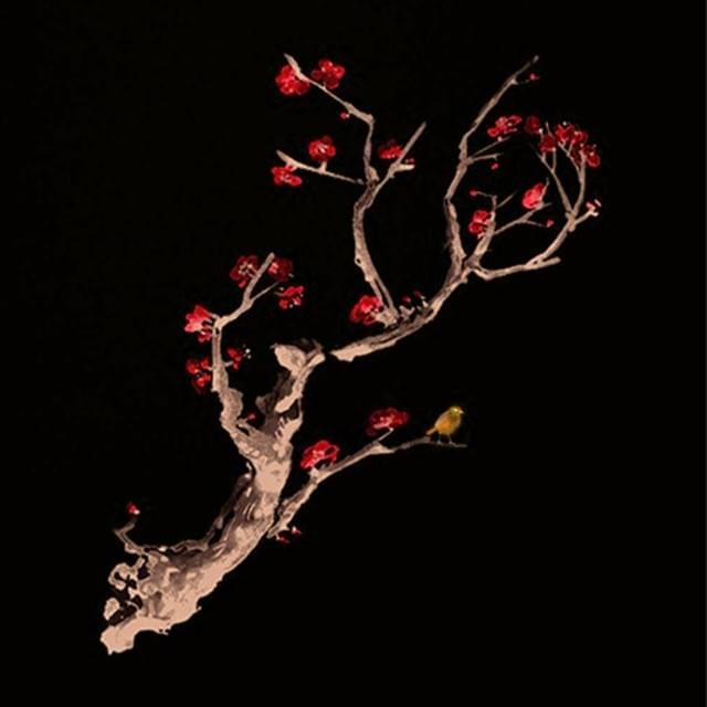 Cover image for Unfocused