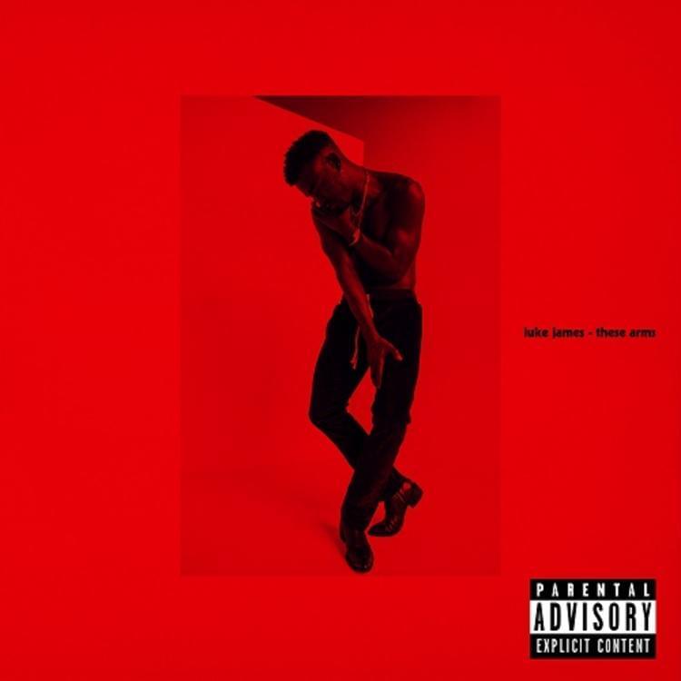 Album cover art for "These Arms" by Luke James