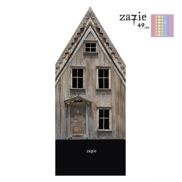 Cover image for 49/49