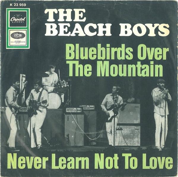 Album cover art for "Never Learn Not to Love" by The Beach Boys