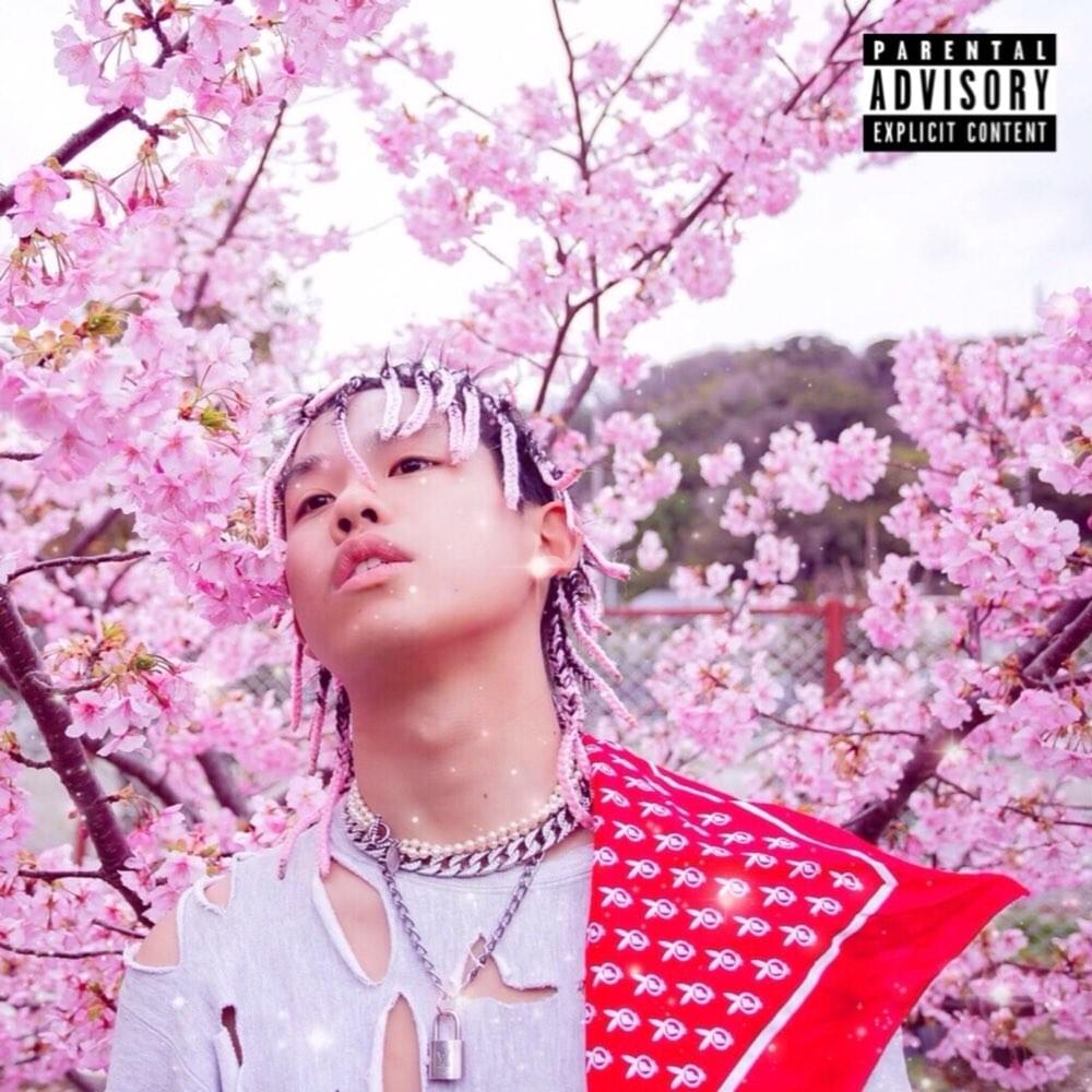 Cover image for YOUNGTOFUBOY