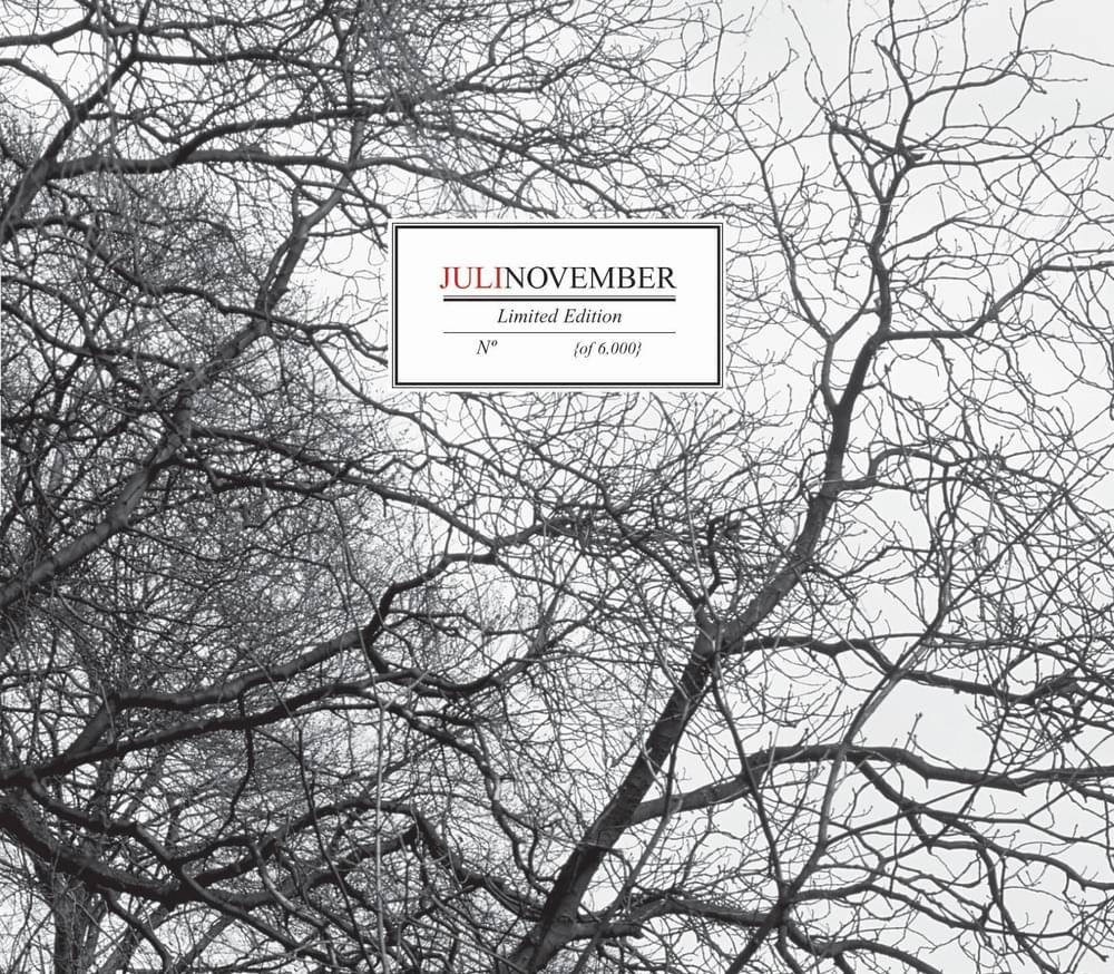 Album cover art for "November" by Juli (DEU)