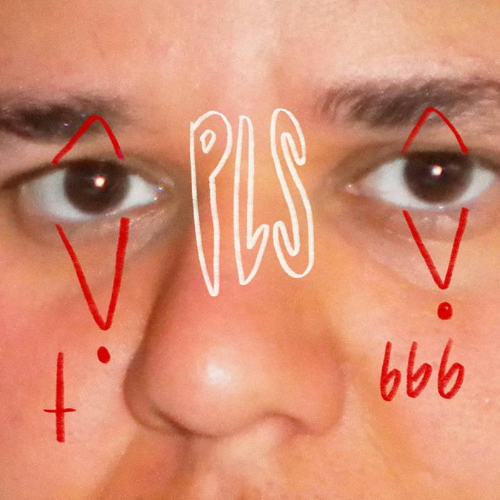 Album cover art for "PLS (sunset version)" by Safia Nolin