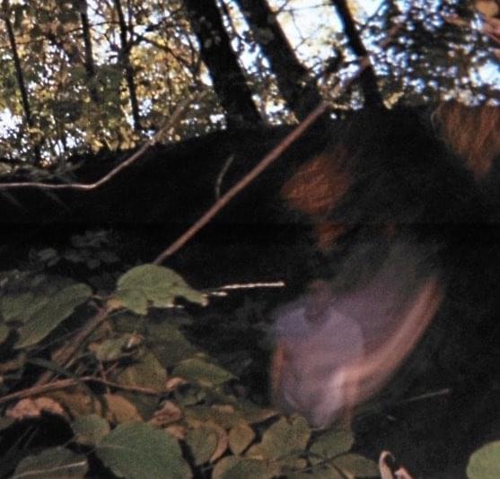 Album cover art for "Choke Slam" by nothing,nowhere.