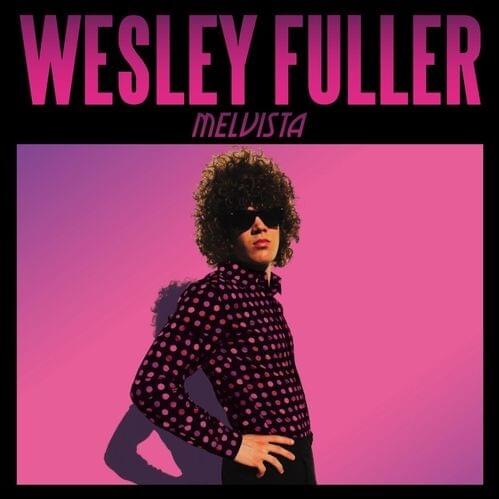 Cover image for Melvista