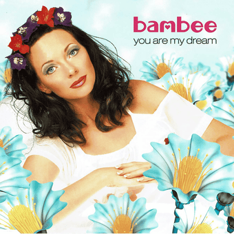 Cover image for You Are My Dream