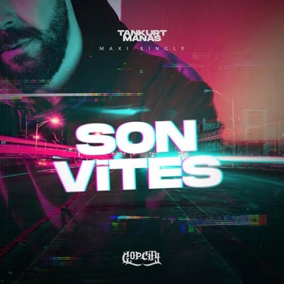 Cover image for Son Vites