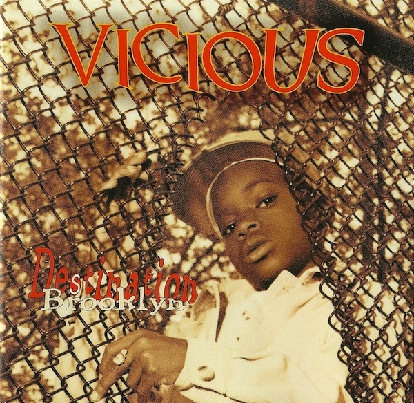 Cover image for Destination Brooklyn