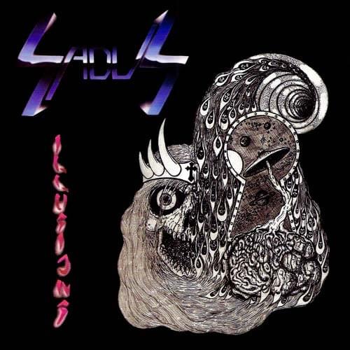 Cover image for Illusions