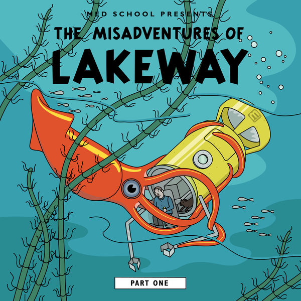 Highs & Lows by Lakeway