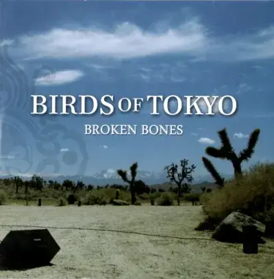 Album cover art for "Broken Bones" by Birds of Tokyo