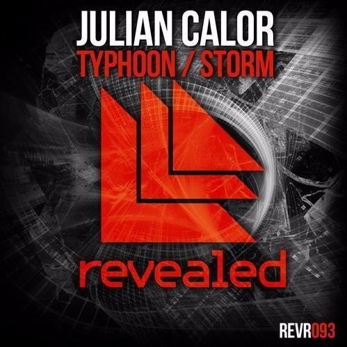 Cover image for Typhoon / Storm