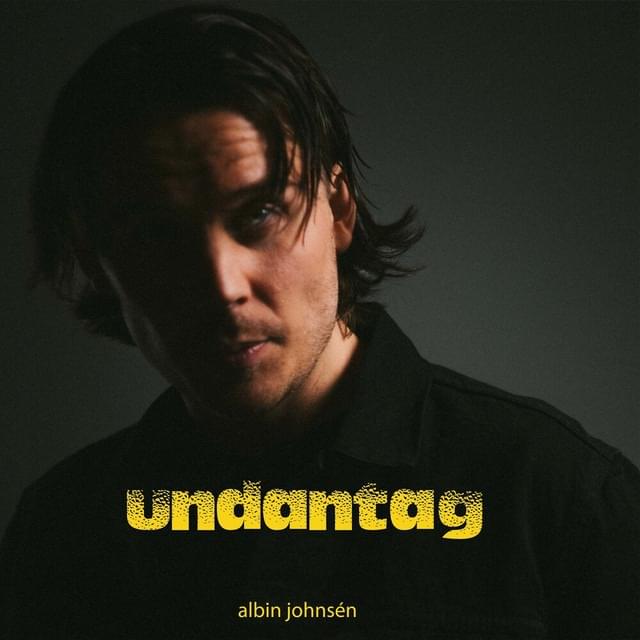 Album cover art for "Undantag" by Albin Johnsén