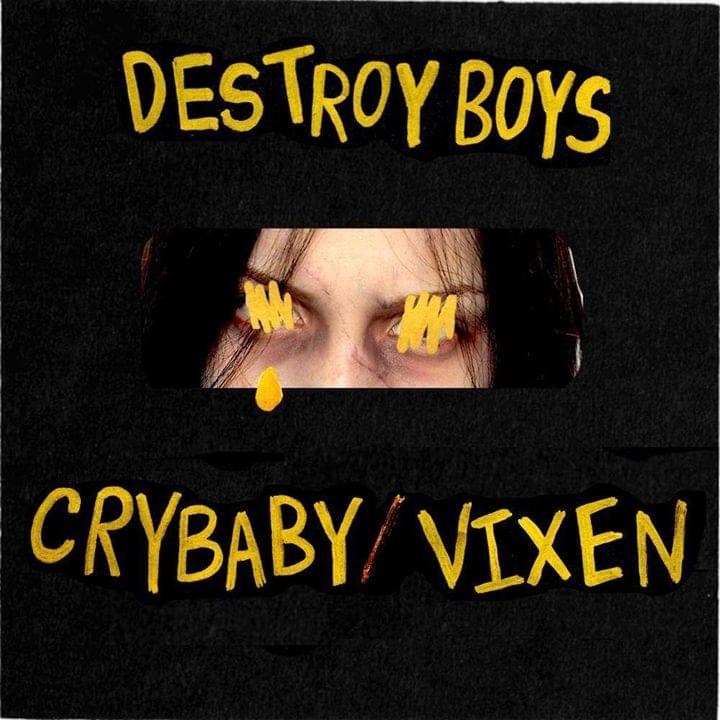Vixen by Destroy Boys