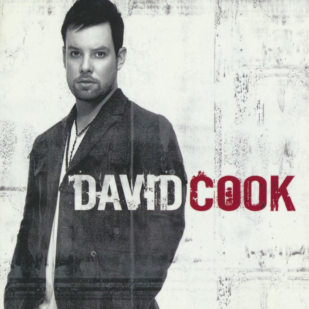 Permanent by David Cook