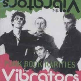 Cover image for Punk Rock Rarities