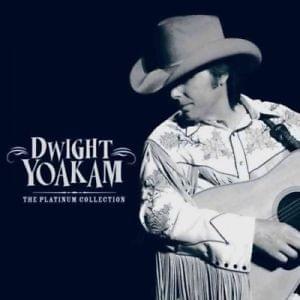 Cover image for The Platinum Collection