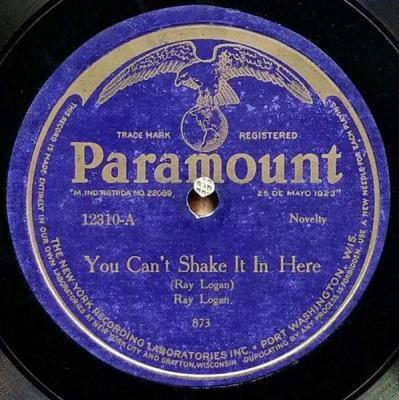 Album cover art for "You Can’t Shake It In Here" by Ray Logan