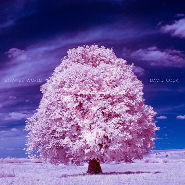 Album cover art for "Strange World" by David Cook