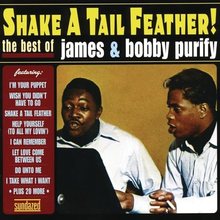 Cover image for Shake A Tail Feather! The Best Of James & Bobby Purify