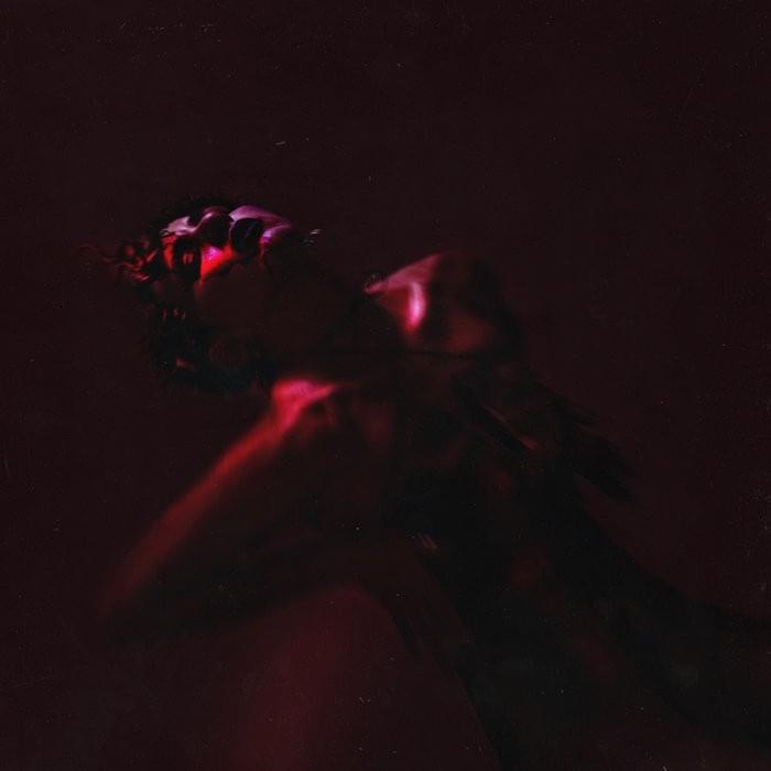 Cover image for INNUENDO Remixes