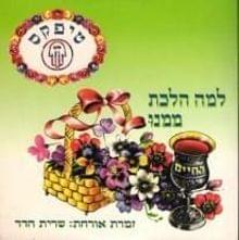 Lama Halacht Mimenu - למה הלכת ממנו by Teapacks - טיפקס