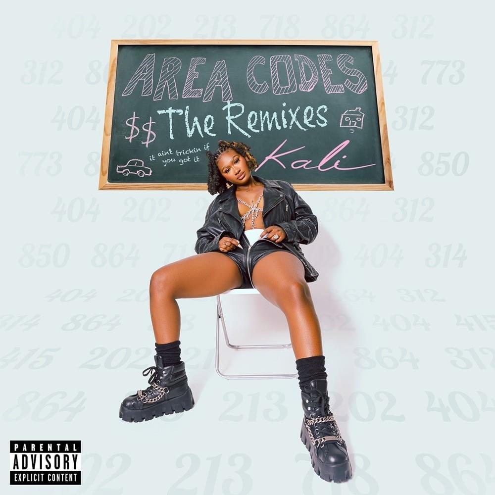 Cover image for Area Codes: The Remixes