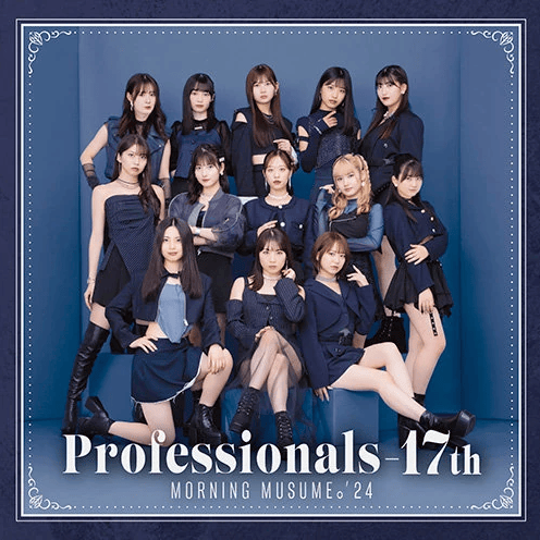 Cover image for Professionals-17th
