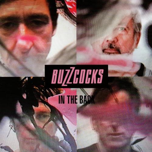 Album cover art for "In the Back" by Buzzcocks
