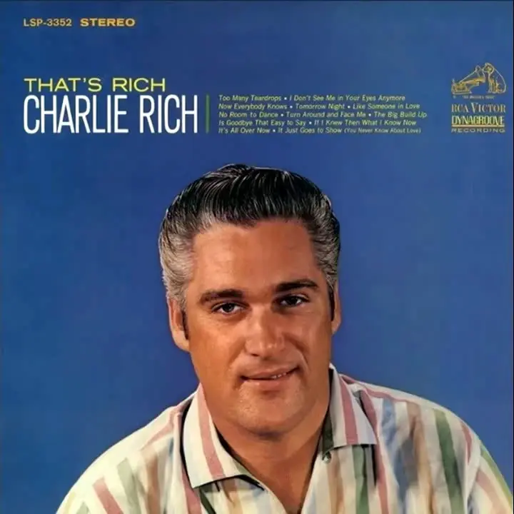Cover image for That’s Rich