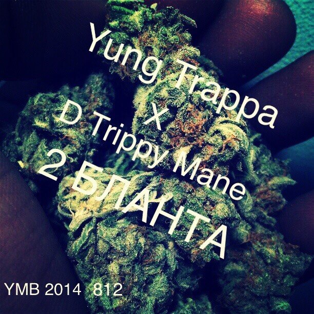 Album cover art for "Два Бланта (Two Blunts)" by YUNG TRAPPA & D Trippy Mane