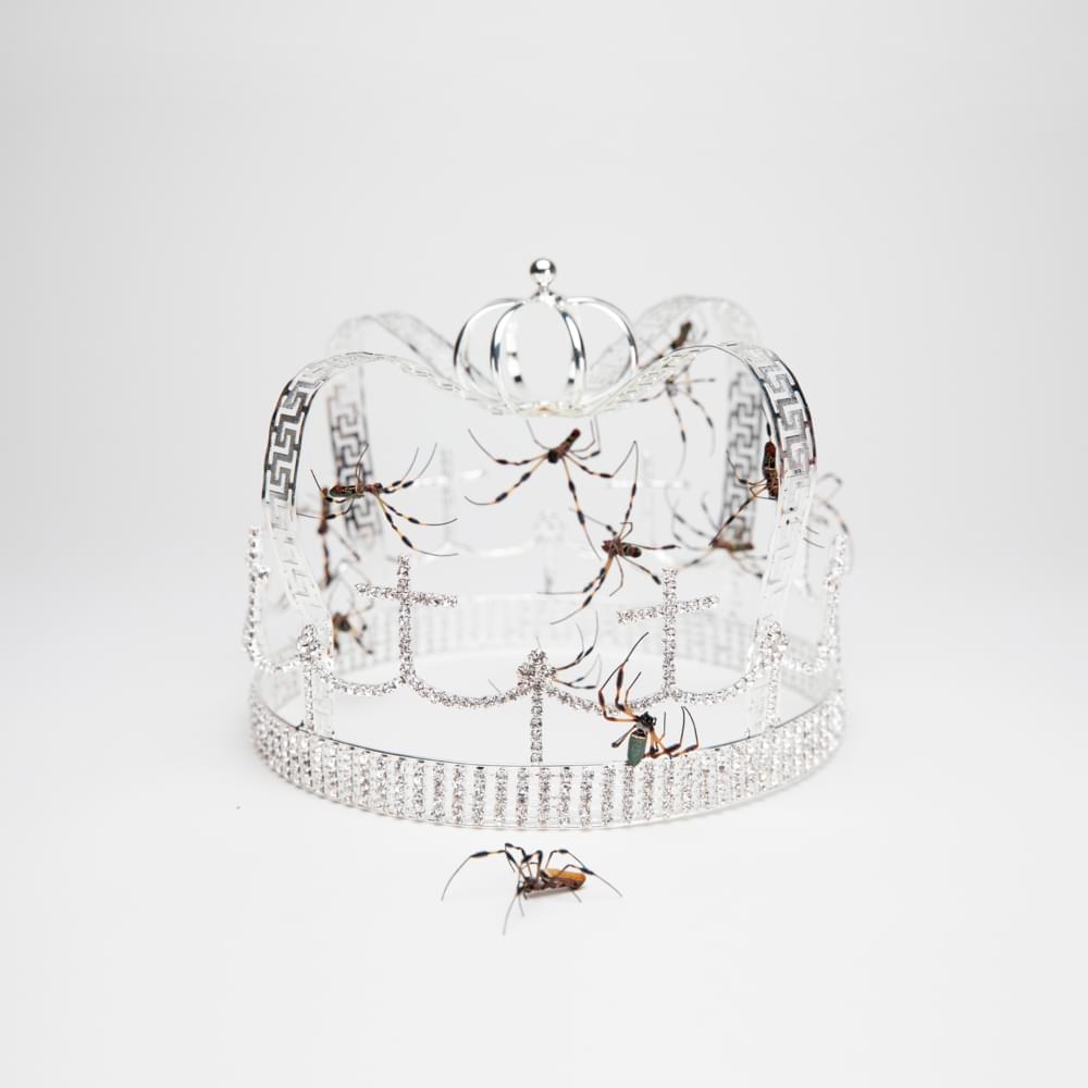 Album cover art for "Billie Eilish - you should see me in a crown (Nederlandse Vertaling)" by Genius Nederlandse Vertalingen