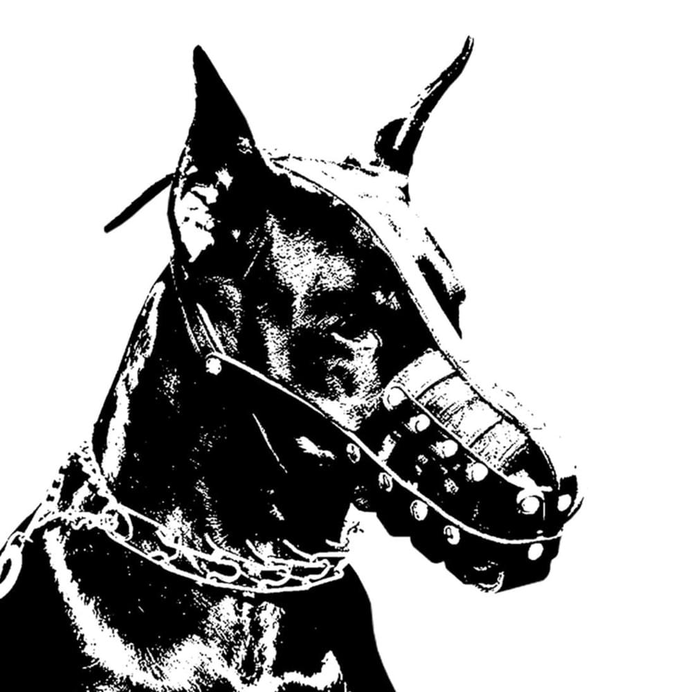 Cover image for Underground Underdogs