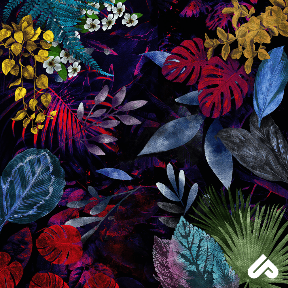 Album cover art for "FMO" by Unlike Pluto