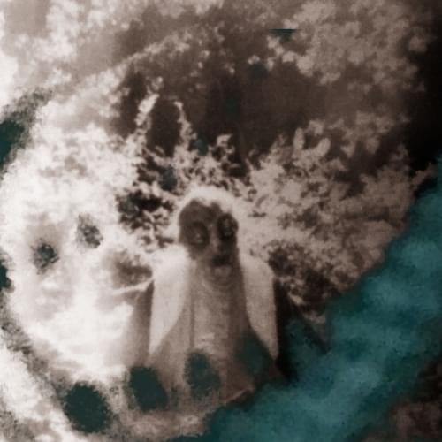 Album cover art for "I Mpss" by Melaina Kol