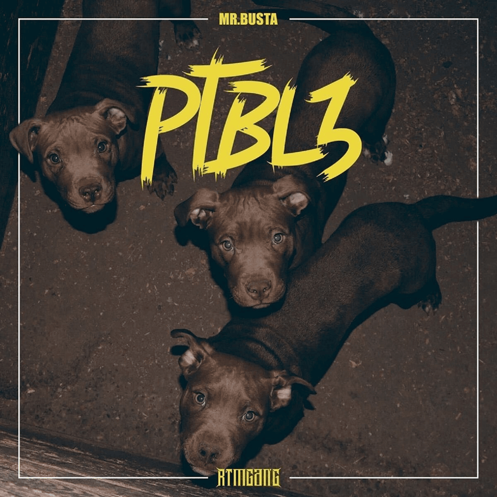 Cover image for PTBL3