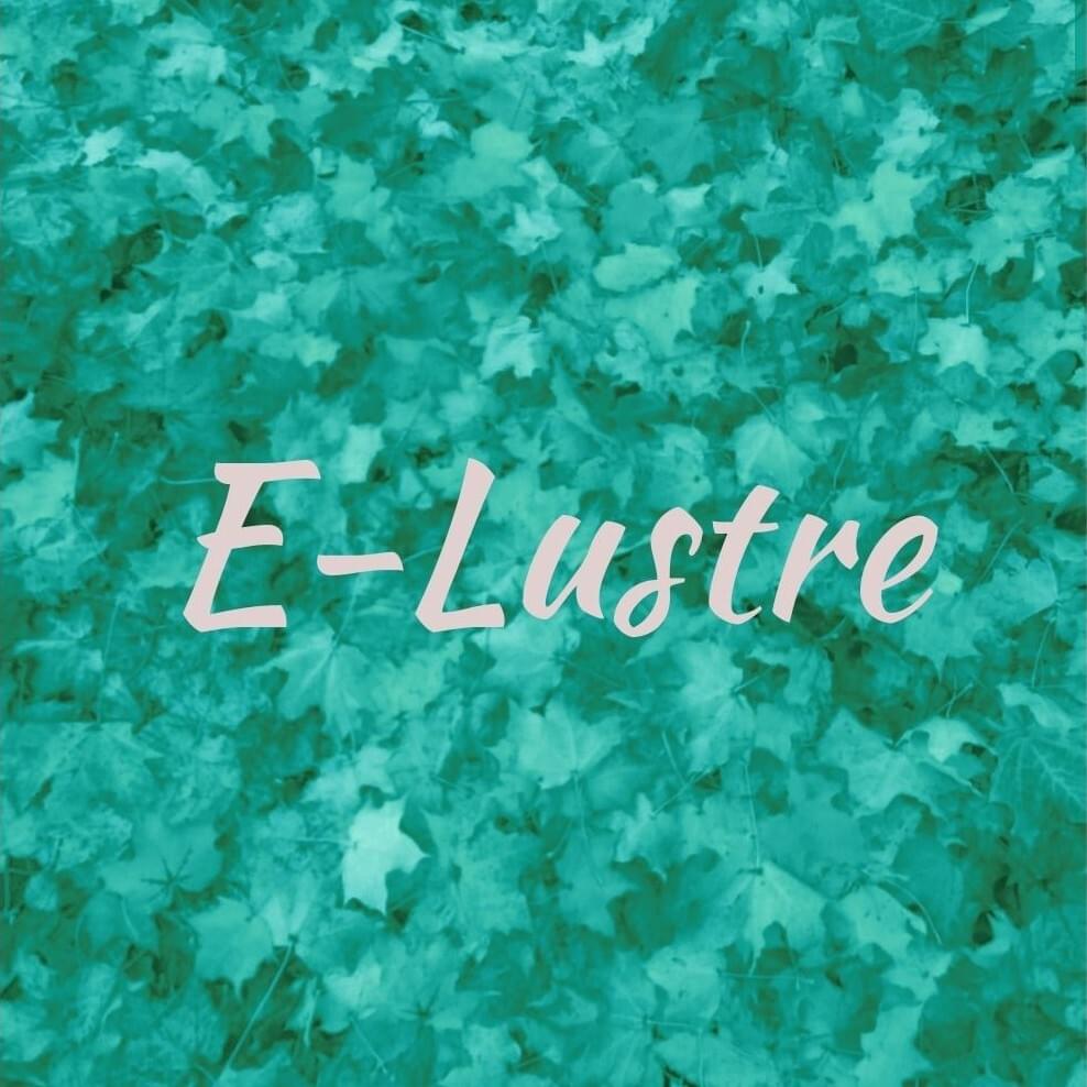 E-Lustre profile picture - official artist image