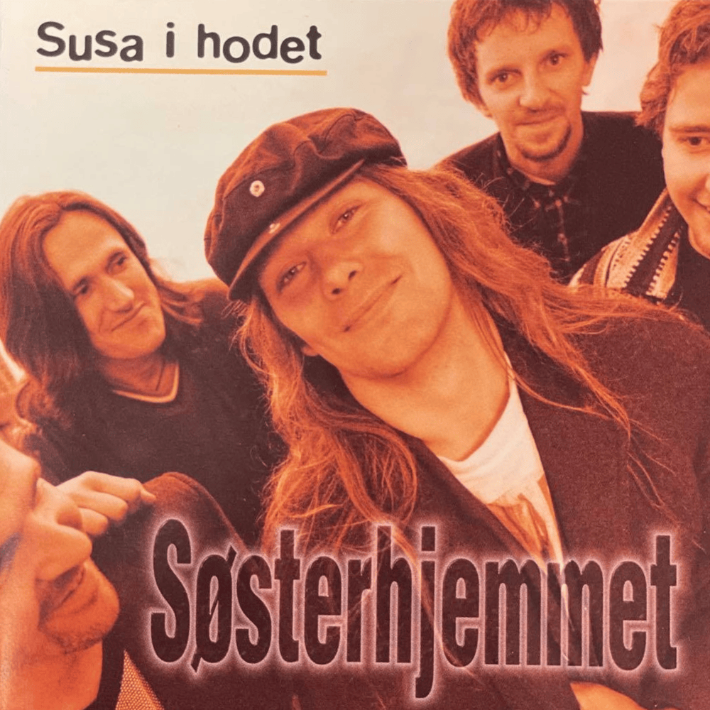 Cover image for Susa i hodet