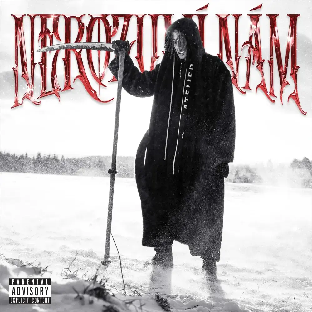 Album cover art for "NEROZUMÍ NÁM (2soft)" by Yzomandias