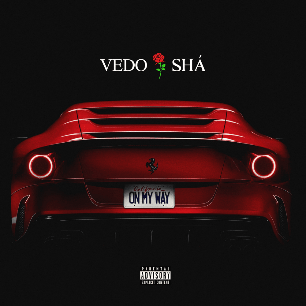 Album cover art for "On My Way" by VEDO